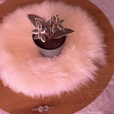 Cristianos Vistas Al Mar Y Cerca De La Playa 洛斯克里斯蒂亚诺斯